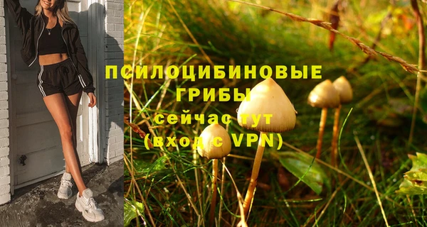амф Алзамай