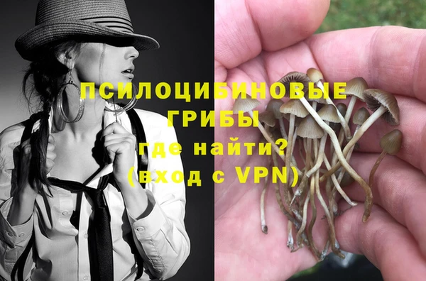 spice Алексин