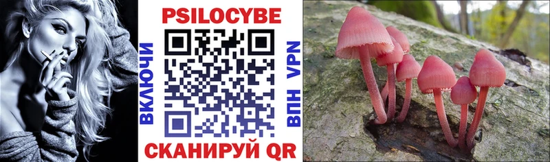 Псилоцибиновые грибы прущие грибы  площадка телеграм  Куртамыш 
